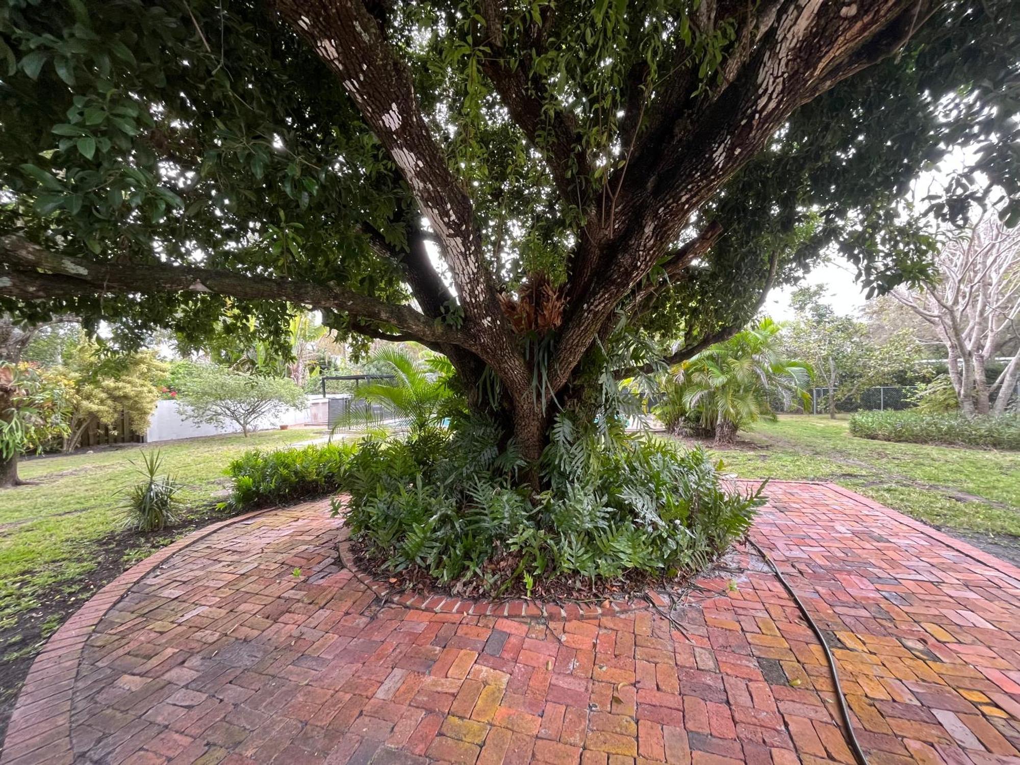 Family 4br Near Dadeland Mall Hébergement de vacances